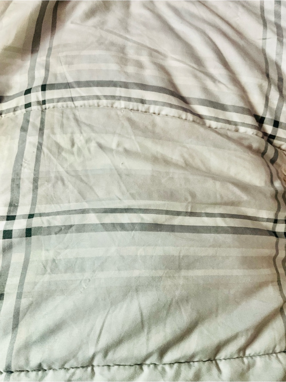 Queen Size Classic Plaid Comforter - White and Gray